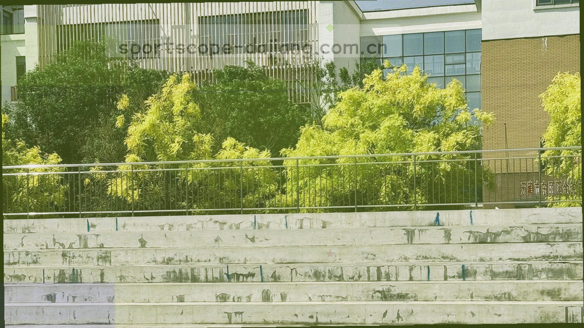斜向球场线条与光影的赛场全景